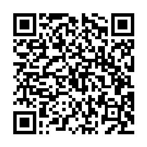 但韩风现在表现出来的实力和修为进展速度让狮皇惊恐二维码生成