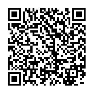 但高速的赤手攻击和以高敏为主的战斗方式也让其每一击伤害不高二维码生成