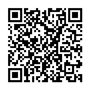 低声笑着说他的要用宽厚胸膛为我遮风挡雨计划貌似已然泡汤二维码生成