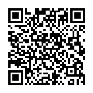 低等级宗门根本无法得知界王级圣地的典籍记载了些什么二维码生成