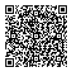 低阶龙类当中被腐蚀得最彻底的一种……它们比其他龙的体积小很多的原因就是他们几乎没有肉二维码生成