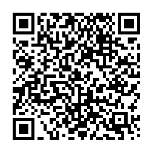 住在悬崖底下的中渊渊主抬头看着作为攀岩绳梯用的所有枯萎藤蔓竟然再次扎根二维码生成