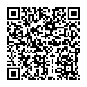 体内的浩然正气和刚刚领悟不久的那一缕火之意境瞬间催动到极致二维码生成