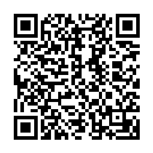 何公公和临淮侯两人目瞪口呆到眼珠子和下巴似乎都掉在了地上二维码生成