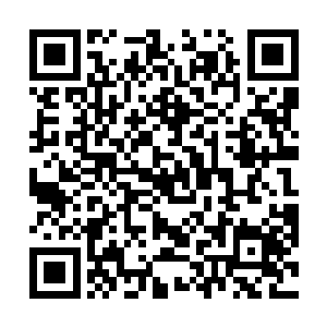 何况…先皇已经下了罪己诏恢复了定王府的一切荣耀了二维码生成