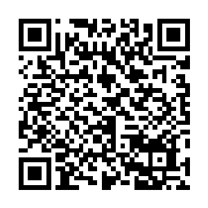 何况…皇上也绝不希望皇嗣里面出现拥有西陵血统的皇子二维码生成