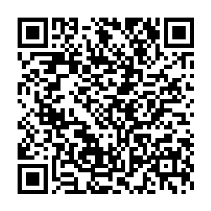 何况九右卫门也是为了保护他才使出全力和那两只怪蛇一战而重伤的二维码生成