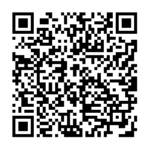何况他跟造化圣皇这样比他跟圣美年龄加起来都大出成千上万倍的老家伙一战二维码生成