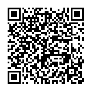 何况真正有骨气的文臣武将都宁死不愿离京留在了摇摇欲坠的楚京二维码生成