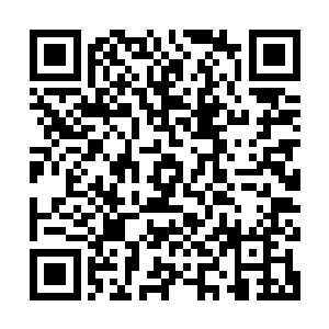 何塞・阿莱玛尼用手在足球上沿着气门芯往下画出了一条中轴线二维码生成