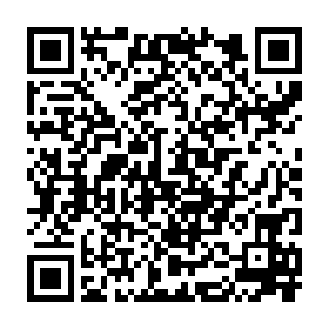 何曾诞生过哪怕一个行星级的灵武修士最强者也不过是卫星级的而已二维码生成