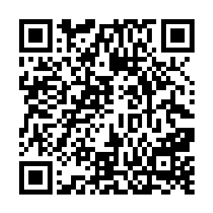 何氏便催着念珠儿和木鱼儿赶紧替卫蘅张罗次日的穿戴二维码生成