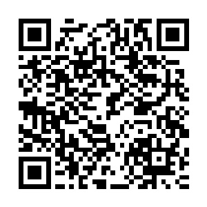 何红富已经由牙尖嘴利的年轻人变成了颇为稳重的乡镇企业家二维码生成