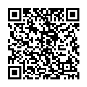 余下的三流家族和不入流的家族以及散修只占了两成二维码生成