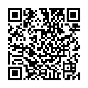 余利基和岁寒于原则上是有机会继续增加莲花文化指数的二维码生成