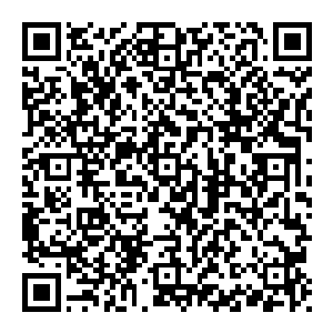 余音袅袅 回荡不休 震的他全身发颤 牙齿都咯咯作响 不过万幸 光点在遭受这强大的一拳之后 顿时碎开 无尽的光线穿越而來二维码生成