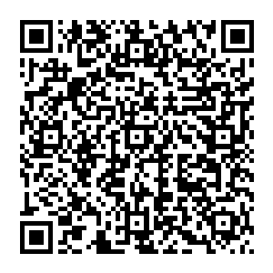 佛主陨落 可不应该连带他的道统 中古佛在历史之中只是昙花一现 但却如流星 极为的摧残 二维码生成