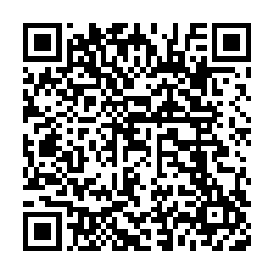 作为双雄仙城主人的巨人族和雨族族长率领着族中修士迎接了上去二维码生成