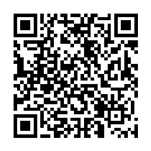 作为地委书记他不会单单只关注入事关系派系之间的角力二维码生成