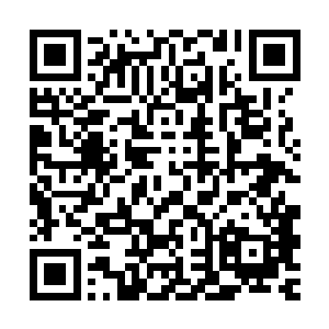 作为城主你也差不多可以和你的城市你城市里所有人一起消失了二维码生成