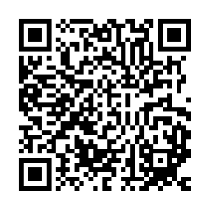 作为太子生母的皇后娘娘怎么这么想不开张罗着给齐王过继嗣子二维码生成