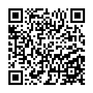 作为木槿亲生父亲的木情殇却是无法用木槿来突破瓶颈的二维码生成