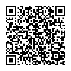 作为该系列的元老boss……他无疑是玩家们在街机厅时代的最初梦魇二维码生成