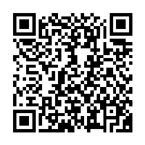 作战方式也更变为在火炮的掩护下使用新式步枪突击的新战法二维码生成