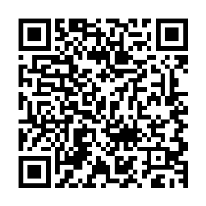 作用在我这个区域的雷电很快就被我轰成了无数根细小的电弧二维码生成