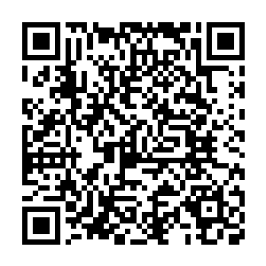 佟舒在担任政治部副主任期间其实很大程度就帮老魏分担了不少压力二维码生成
