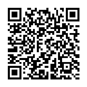 你……你……你竟然杀了他……你知不知道他是东来师兄的弟弟二维码生成