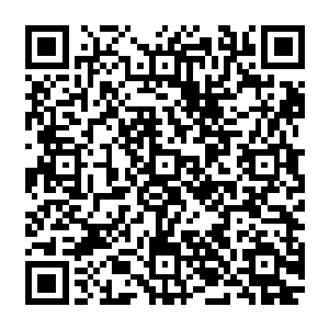 你……你也入了局……我先……先走一步……在在……黄泉路上……等着……等着你……二维码生成