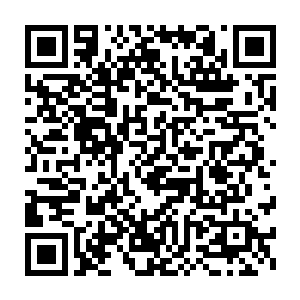 你……你居然把十二仙门留守此地物色弟子的都杀了……你简直……二维码生成