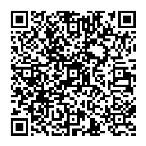 你……你把我的骨灰撒到九天大域的望晴川之中……我就能和罗师兄在一起了……我等……等这一天二维码生成