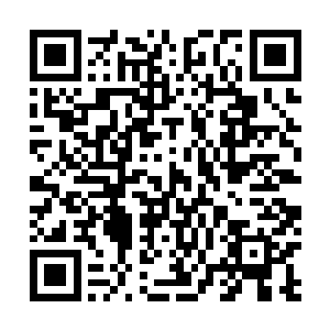 你……你等着我叔叔疯狂的报复吧……他会让你生不如死二维码生成