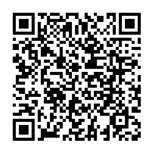 你……你要好好活下去……如果可能……就离开这里……逃到南方……二维码生成