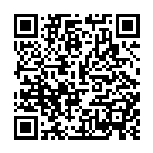你……你该死……你该死……关灿灿……你该死……二维码生成