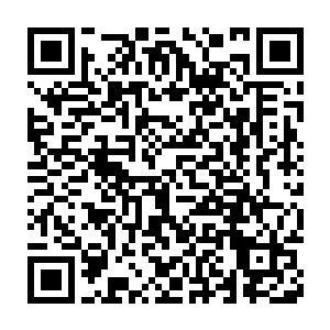 你……你这家伙到底是睡了多长时间了……毛怎地都褪了这么一堆……二维码生成