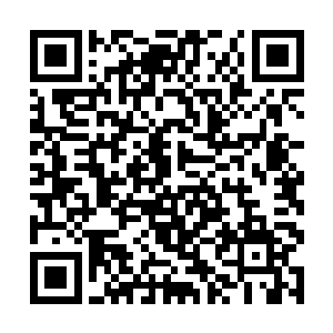你……你骗我是不是……你……你怎么会是他未婚妻二维码生成