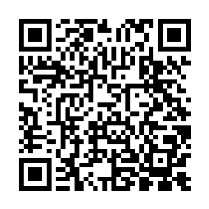 你……是怎么做到的……为什么我能够掌握多重道统……二维码生成