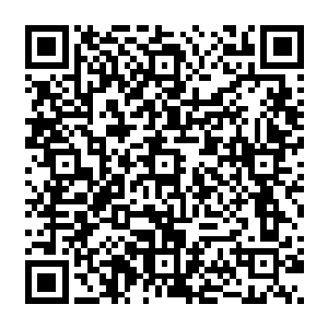 你一个穿着大街边上随便花十几块钱买来的廉价衣服的小瘪三还敢在我们爷俩的面前装犊子二维码生成
