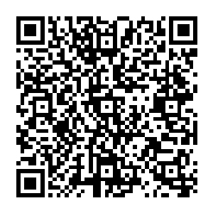你一元宗数十名圣帝以自己的全身力量和精气铸造的帝王神器可不是用來对付同族之人二维码生成