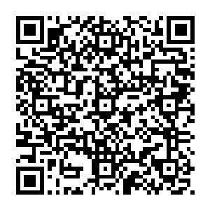 你一定不会想知道帝国秩序审查委员会和秘密警察总部对这类人的处置是怎么样的二维码生成