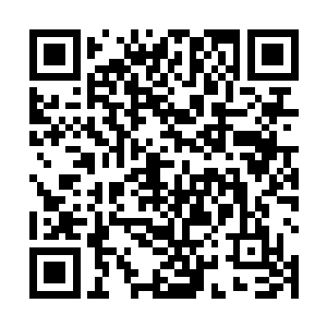 你一散修平时借我善城周边仙气冲灵区域修炼便也罢了二维码生成