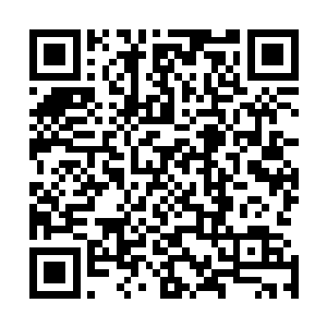 你上次不是说对我们泡制亚麻的药物和使用的骨粉感兴趣吗二维码生成