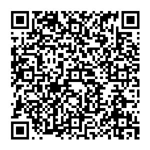 你不仅会自己穿衣服还会自己做衣服不仅会吃饭还会做饭自己洗衣叠被子自己拖地擦桌子――如果条件成熟的话二维码生成