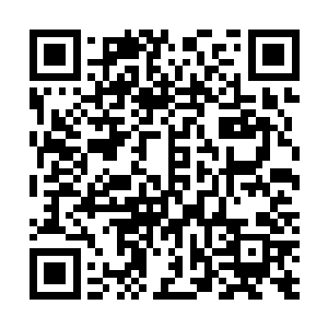 你不会死的――这亦是我和特别调查委员会谈的条件之一二维码生成