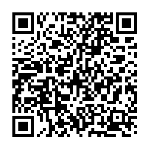 你不会真的一位一个被圈禁了好多年的亲王是来带着皇族子弟去打仗的吧二维码生成