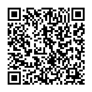 你不得不佩服笑笑每次在这种大赛说都能说出这种经得起推敲的金句二维码生成