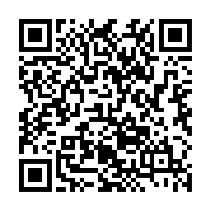 你不是都敢站在这里还讥讽我们九域修士没人和你赌吗二维码生成